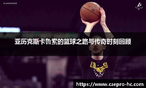 bsports官网入口