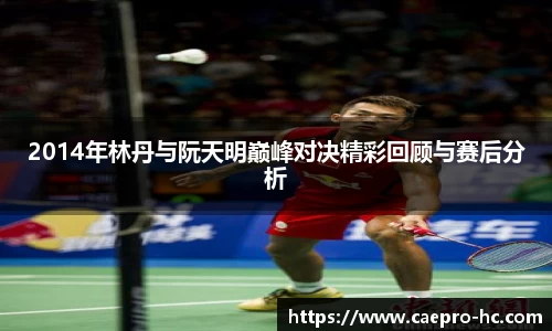 2014年林丹与阮天明巅峰对决精彩回顾与赛后分析