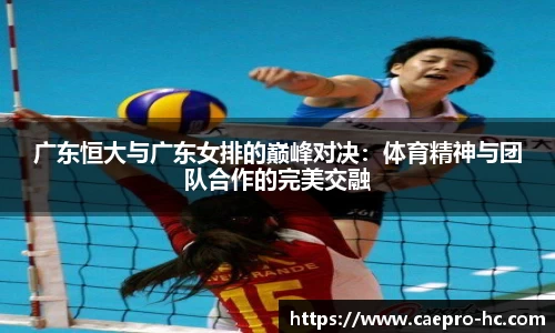 B体育官网