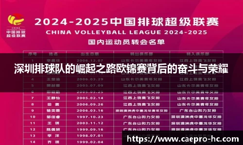 深圳排球队的崛起之路欧锦赛背后的奋斗与荣耀