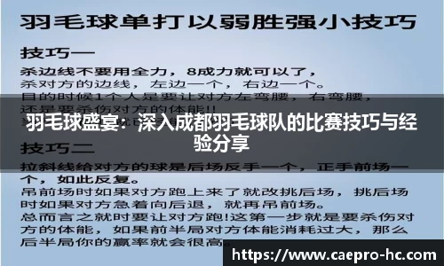 羽毛球盛宴:深入成都羽毛球队的比赛技巧与经验分享