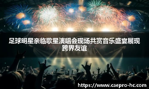 足球明星亲临歌星演唱会现场共赏音乐盛宴展现跨界友谊